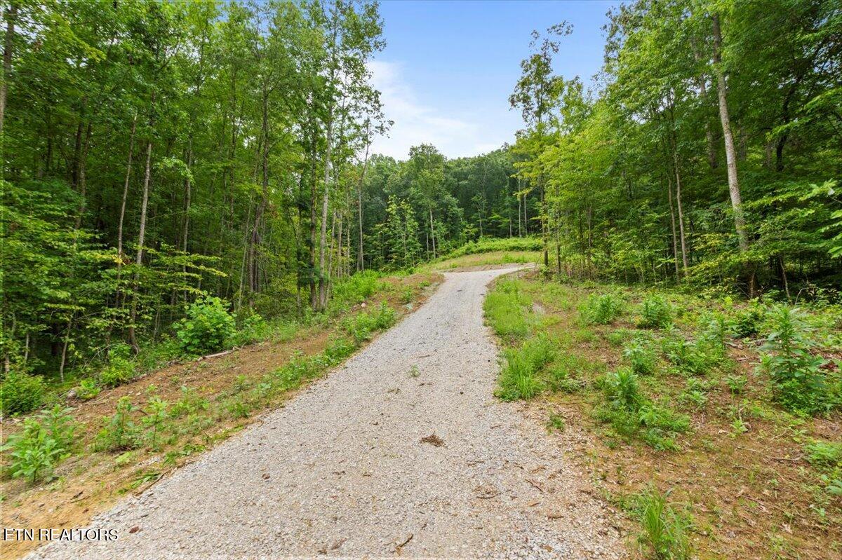 143 Elk Ridge Lane Newcomb, TN 37819 - Photo 36 of 45 19-Elk Rdg
