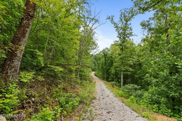 $393,500 | 143 Elk Ridge Lane, Newcomb, TN 37819