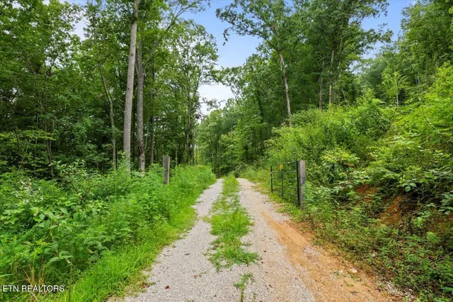 $393,500 | 143 Elk Ridge Lane, Newcomb, TN 37819