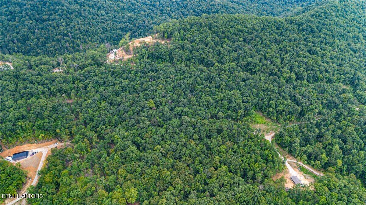 143 Elk Ridge Lane Newcomb, TN 37819 - Photo 41 of 45 25-Elk Rdg