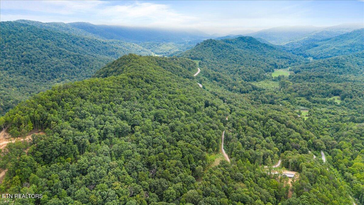 143 Elk Ridge Lane Newcomb, TN 37819 - Photo 42 of 45 26-Elk Rdg