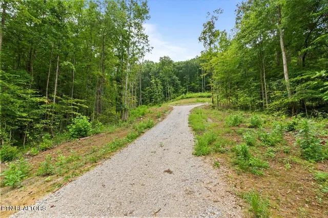 $393,500 | 143 Elk Ridge Lane, Newcomb, TN 37819