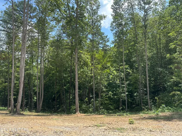 $393,500 | 143 Elk Ridge Lane, Newcomb, TN 37819