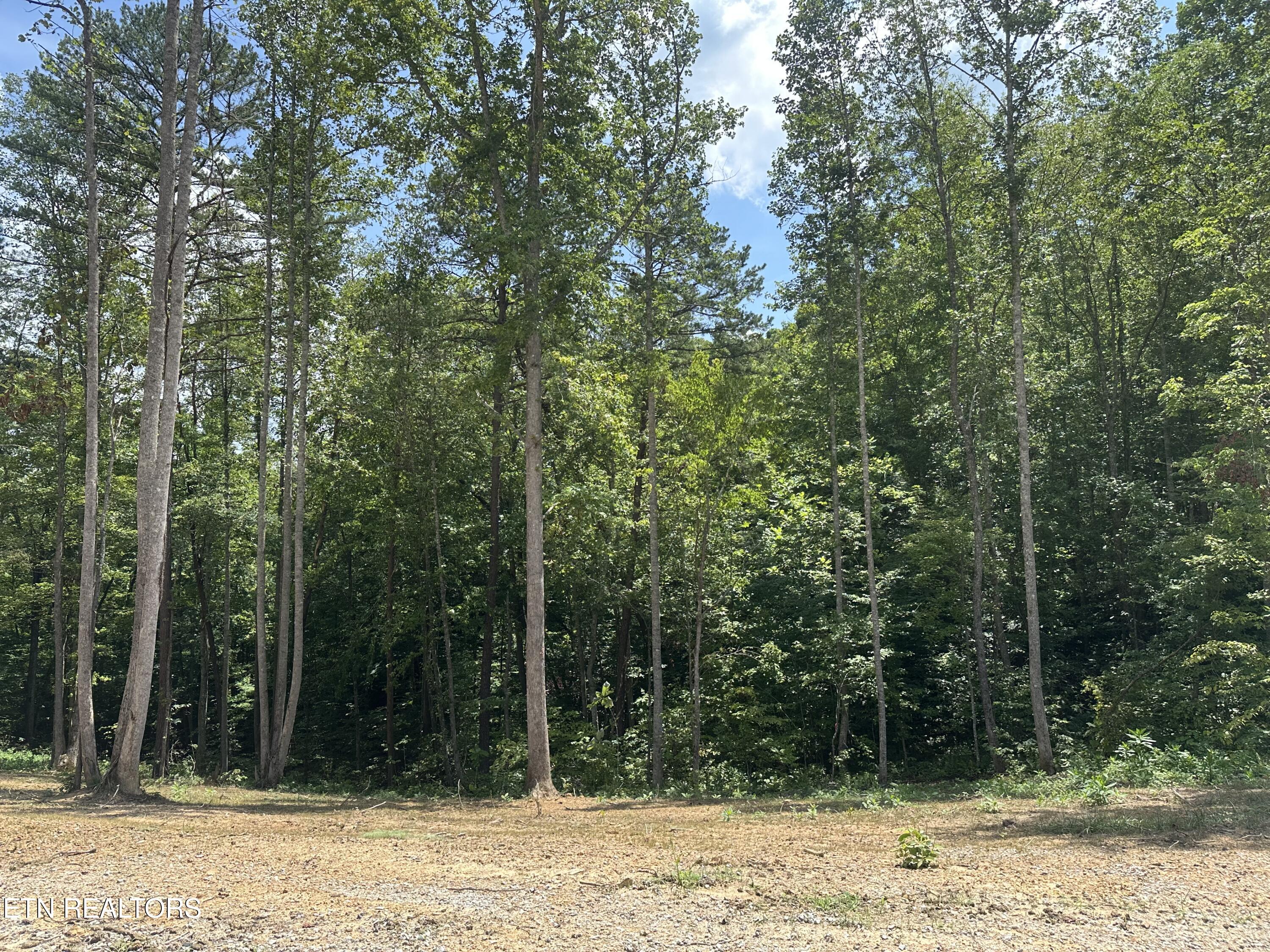 143 Elk Ridge Lane Newcomb, TN 37819 - Photo 6 of 52 IMG_8478