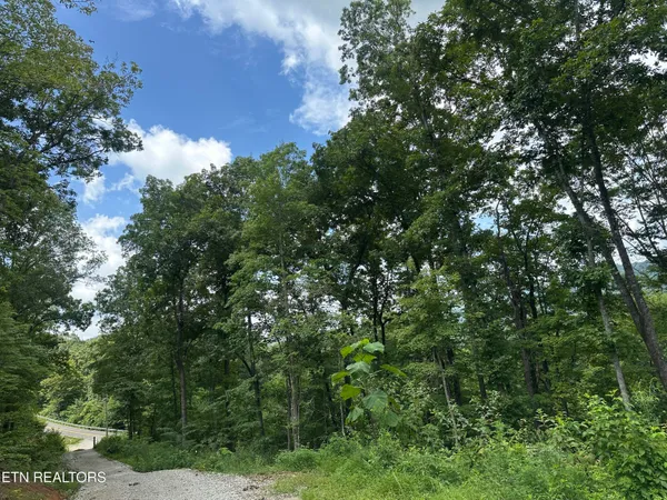 $372,000 | 143 Elk Ridge Lane, Newcomb, TN 37819