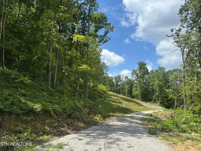 $393,500 | 143 Elk Ridge Lane, Newcomb, TN 37819