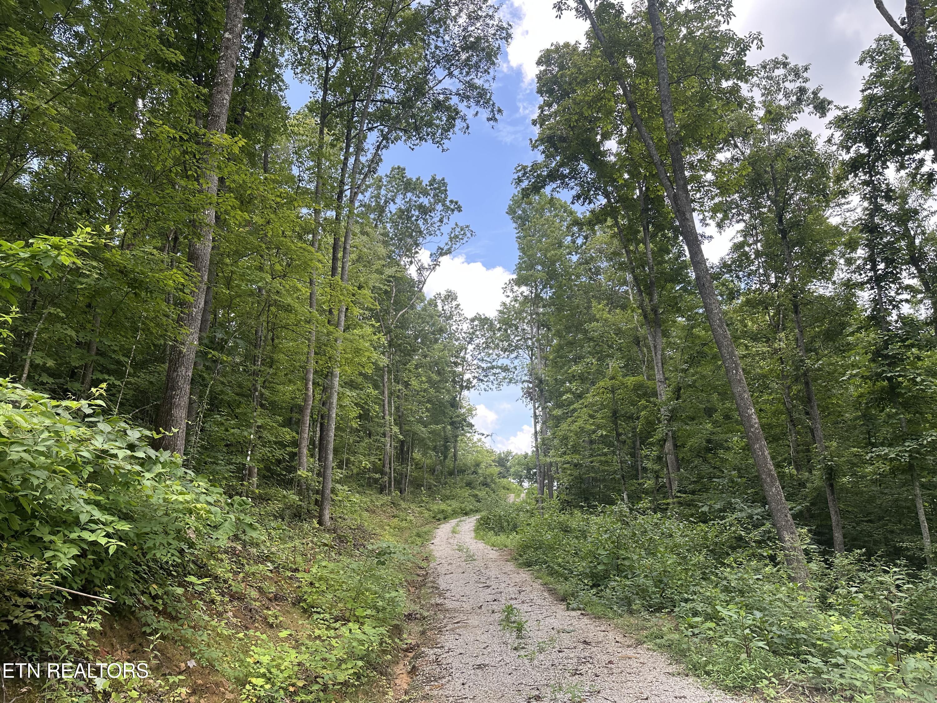 143 Elk Ridge Lane Newcomb, TN 37819 - Photo 10 of 45 IMG_8487