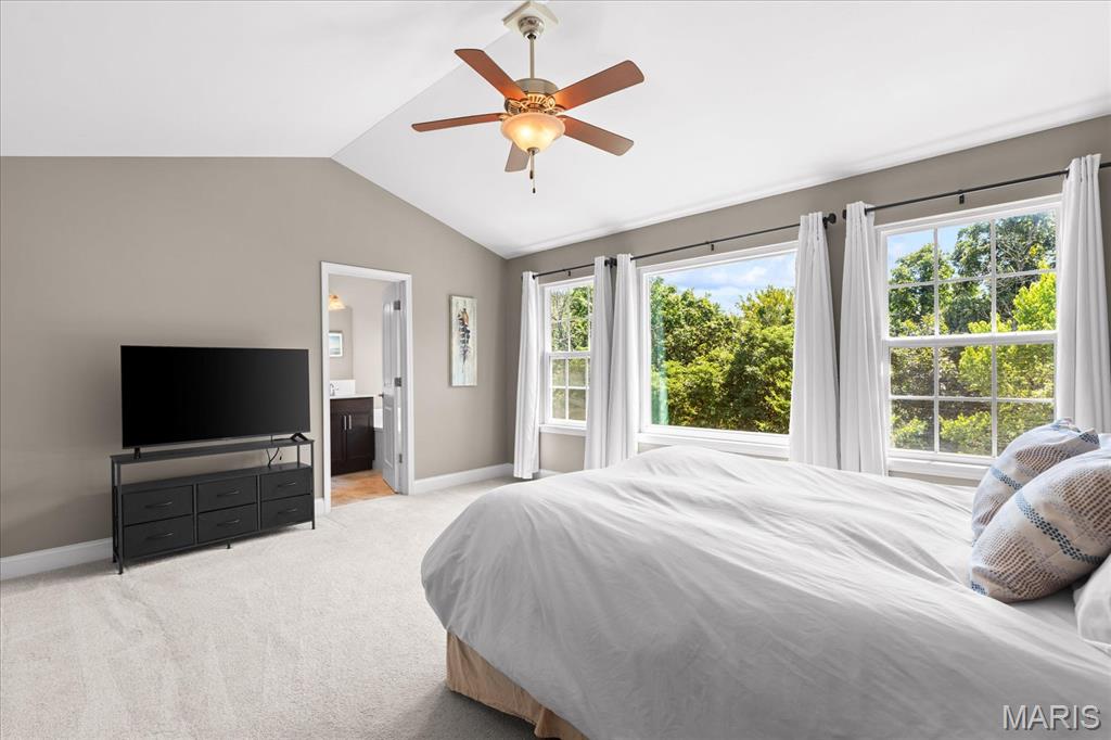 804 Autumn Rise Lane Columbia, IL 62236 - Photo 24 of 61 Gallery Image 24