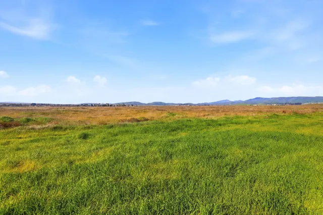 a view of an empty room with windows