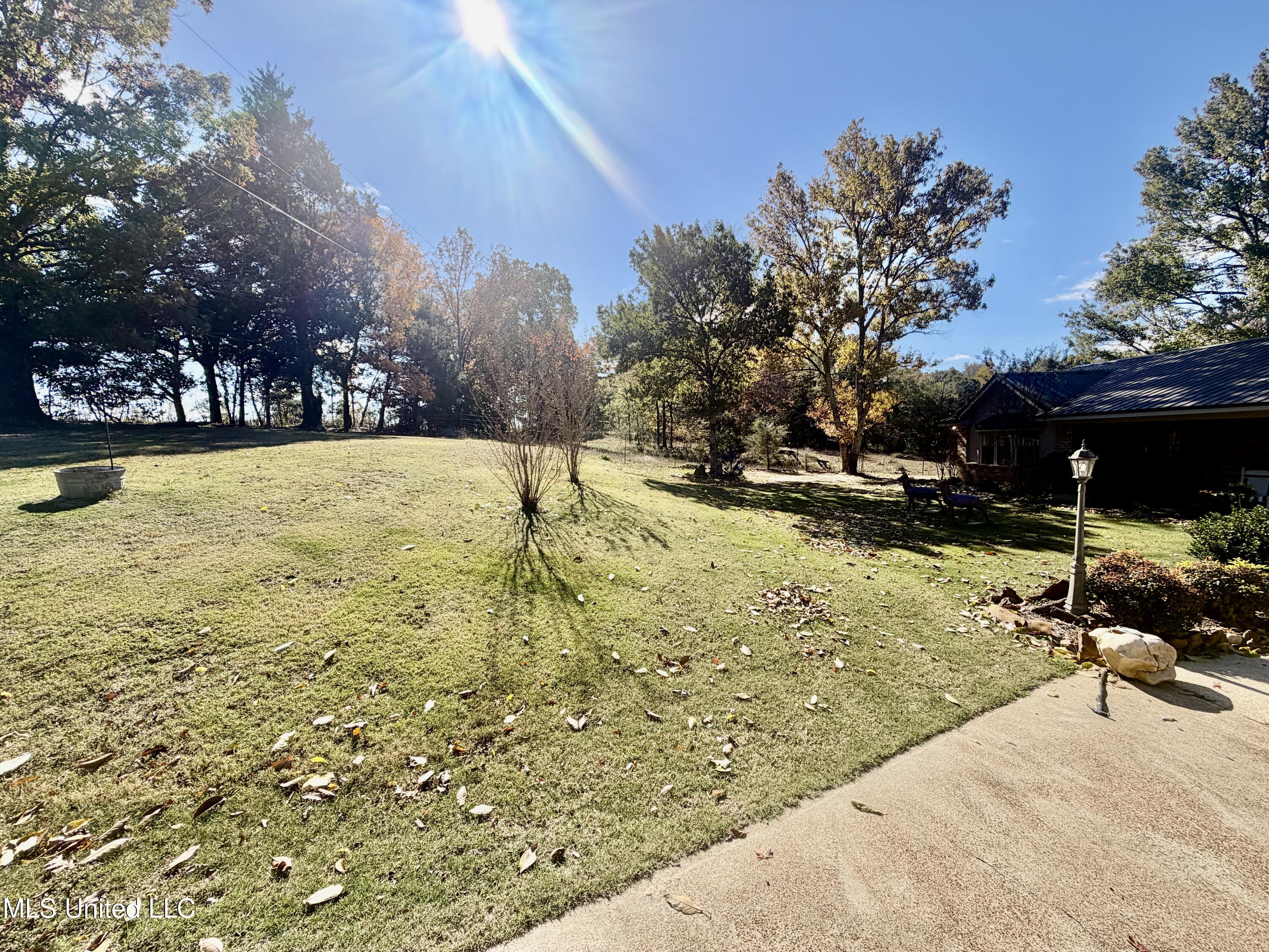 1183 Adams Road Oakland, MS 38948 - Photo 17 of 22 IMG_0577