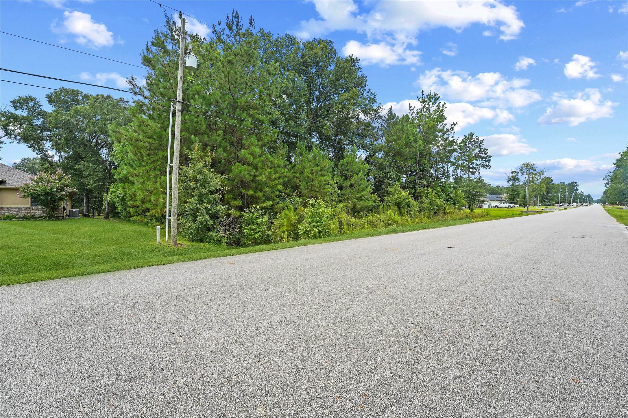27692 Rio Blanco Drive Splendora, TX 77372 - Photo 8 of 11 a view of a field with a view of trees