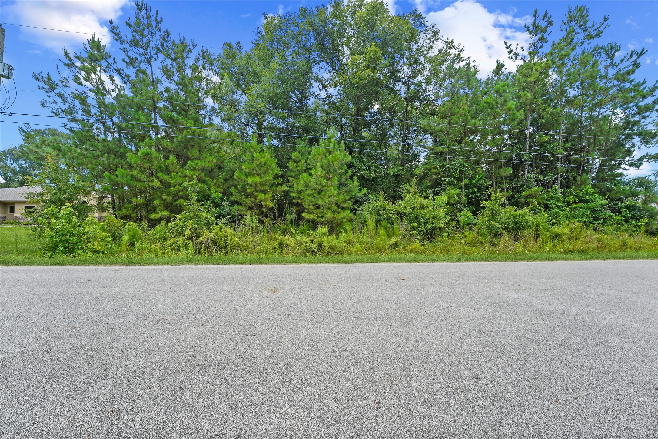 27692 Rio Blanco Drive Splendora, TX 77372 - Photo 9 of 11 a view of a road with a yard