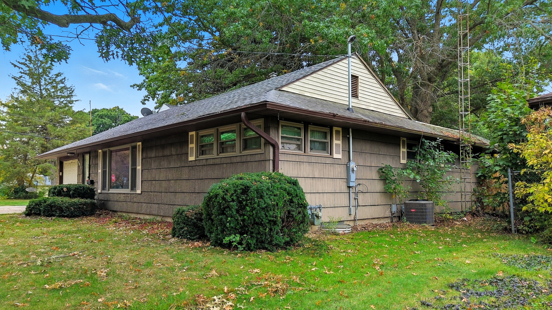 803 4th Avenue Dixon, IL 61021 - Photo 14 of 35 a view of a small house with a yard plants and large tree