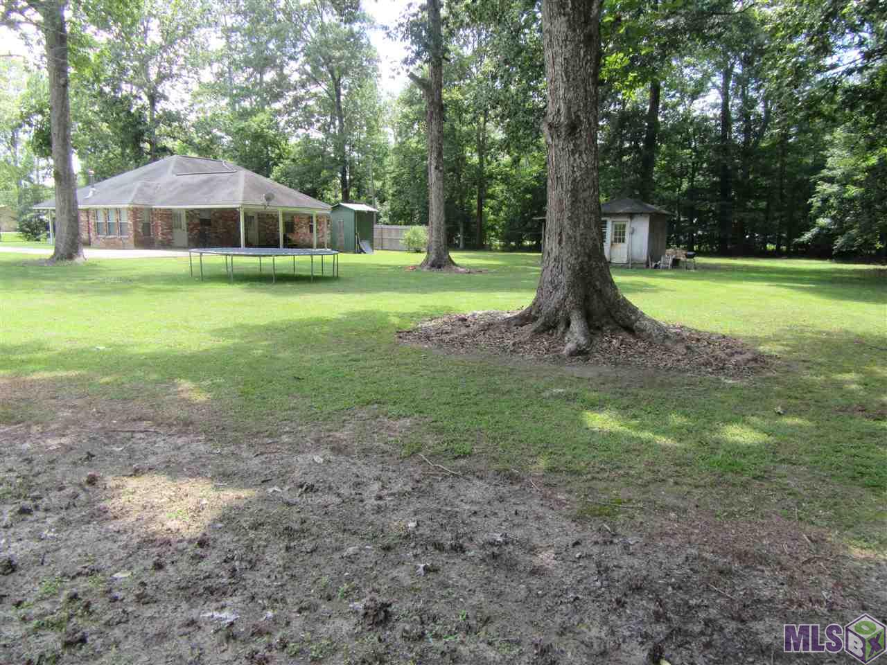 34514 Weiss Road Walker, LA 70785 - Photo 11 of 23