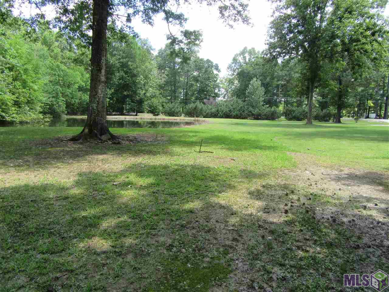 34514 Weiss Road Walker, LA 70785 - Photo 13 of 23