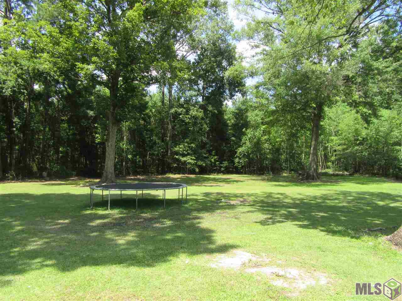 34514 Weiss Road Walker, LA 70785 - Photo 4 of 23