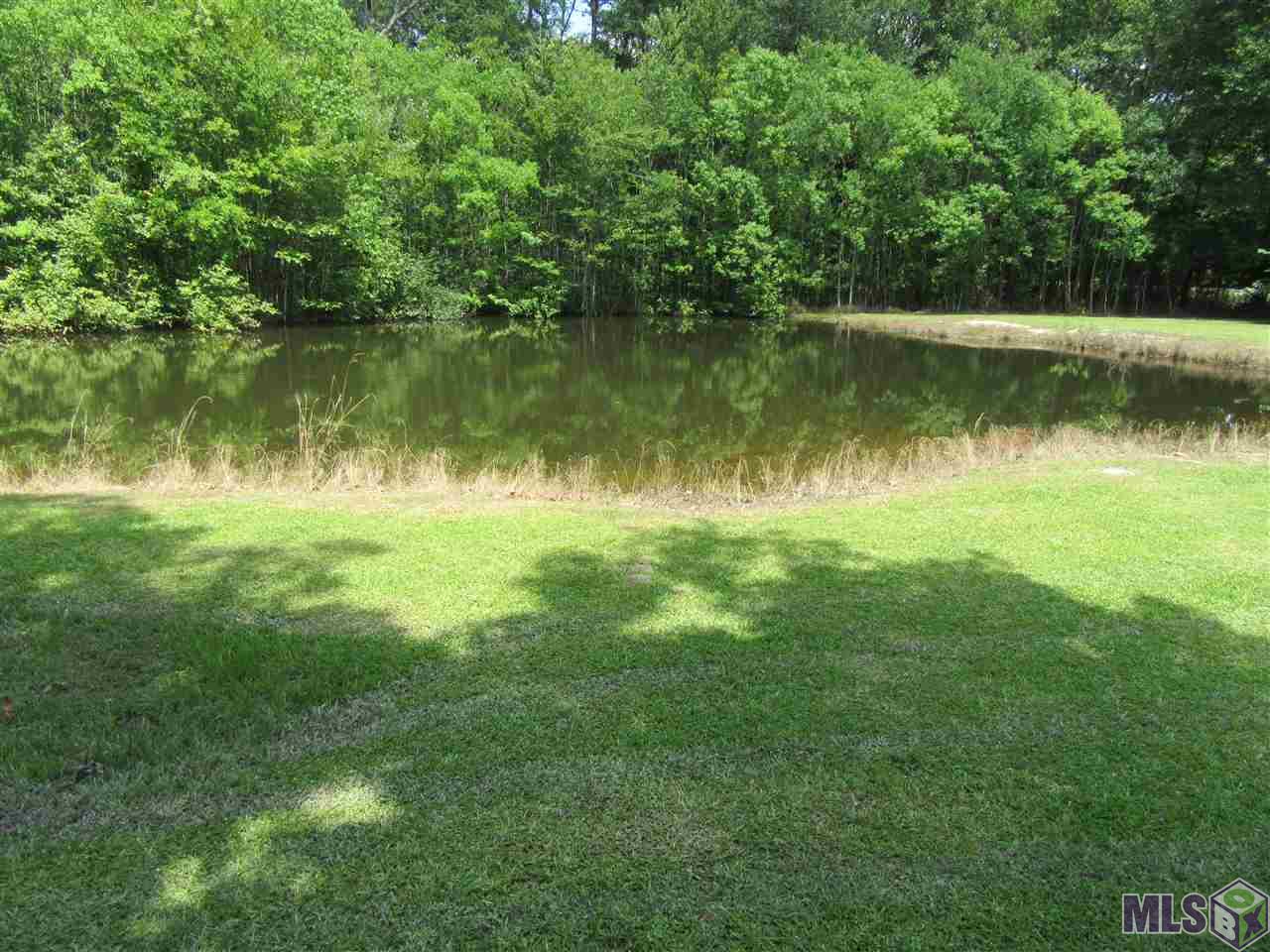 34514 Weiss Road Walker, LA 70785 - Photo 5 of 23
