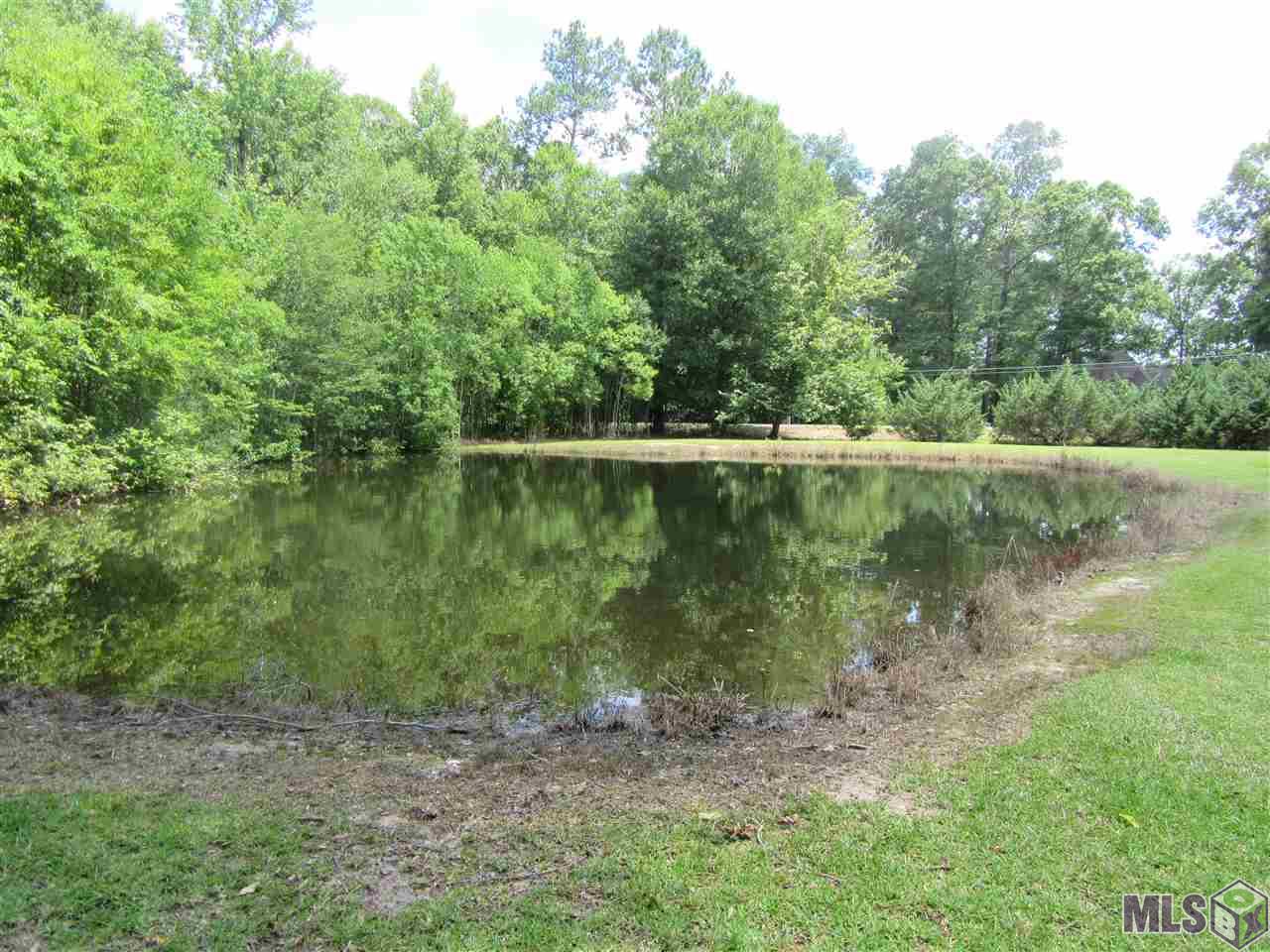 34514 Weiss Road Walker, LA 70785 - Photo 6 of 23