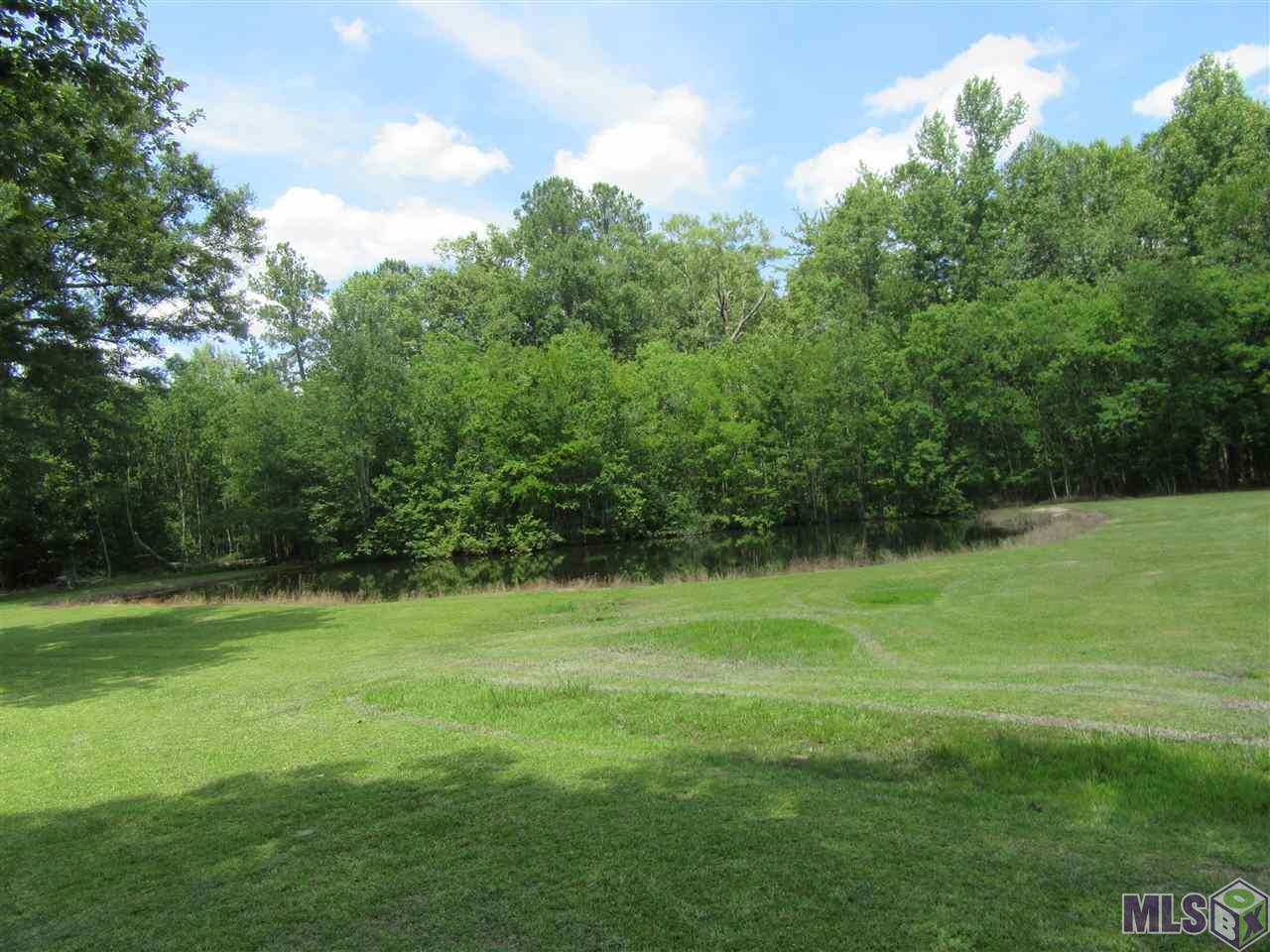 34514 Weiss Road Walker, LA 70785 - Photo 7 of 23