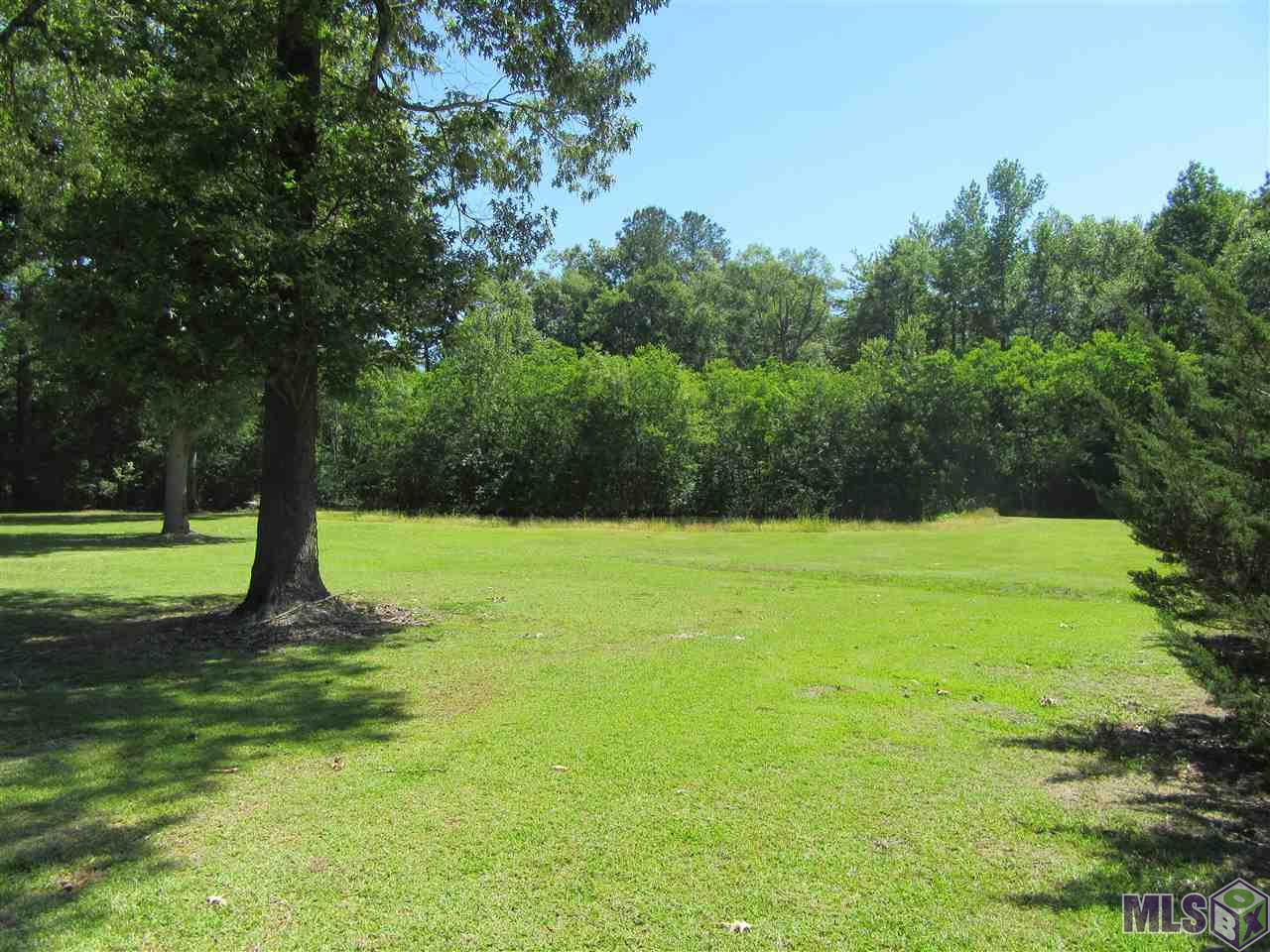 34514 Weiss Road Walker, LA 70785 - Photo 8 of 23