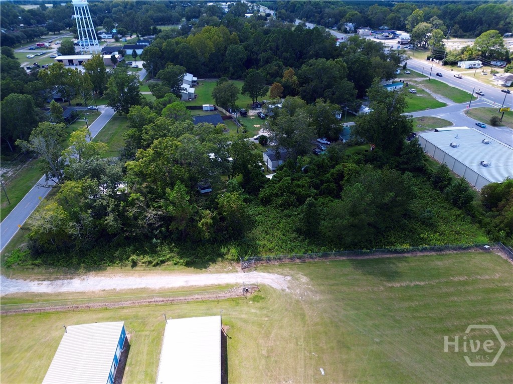 0 Turnpike Road Claxton, GA 30417 - Photo 3 of 11 Gallery Image 3