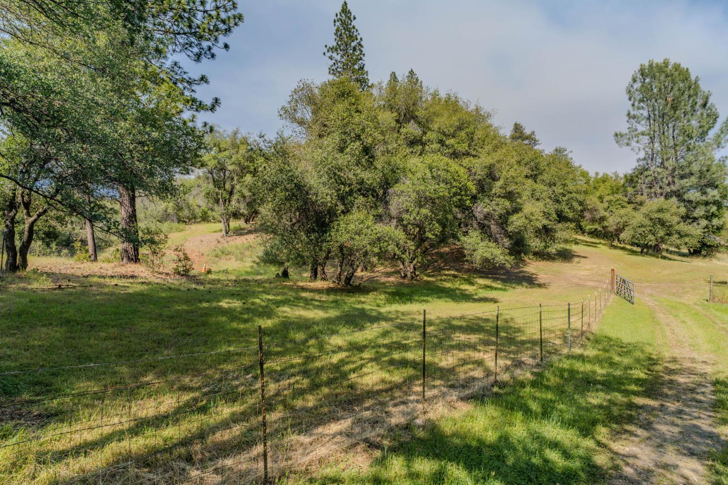 6216 Trout Lane Mountain Ranch, CA 95246 - Photo 21 of 39 a view of yard with green space