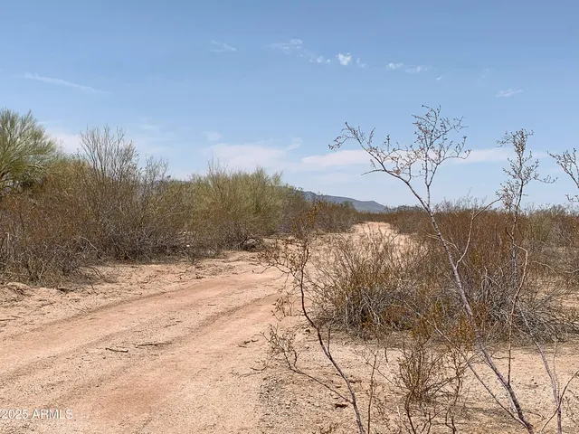 a view of a dry yard covered with snow in the background