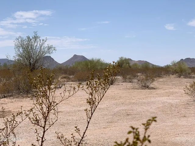 a street view with wooden fence and trees