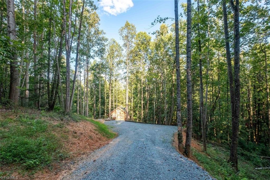 530 Alleghany Spur Road Traphill, NC 28685 - Photo 2 of 30 Driveway to Cabin