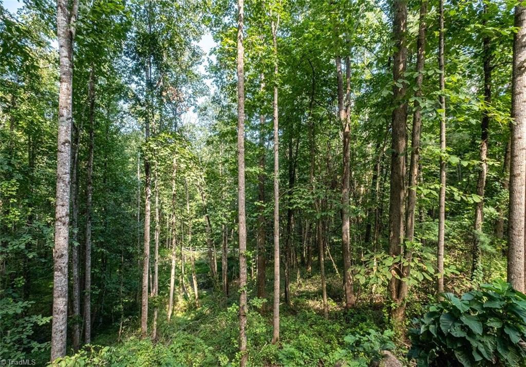 530 Alleghany Spur Road Traphill, NC 28685 - Photo 23 of 30 View from deck