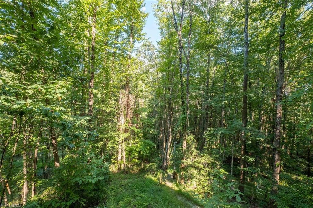 530 Alleghany Spur Road Traphill, NC 28685 - Photo 24 of 30