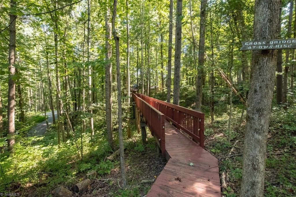 530 Alleghany Spur Road Traphill, NC 28685 - Photo 28 of 30 Walkway to other side of driveway