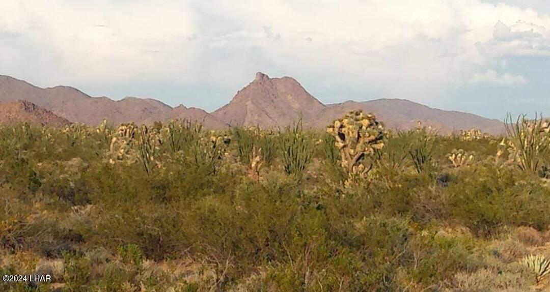 578-b South Wyatt Earp Road Yucca, AZ 86438 - Photo 11 of 18 1000002914