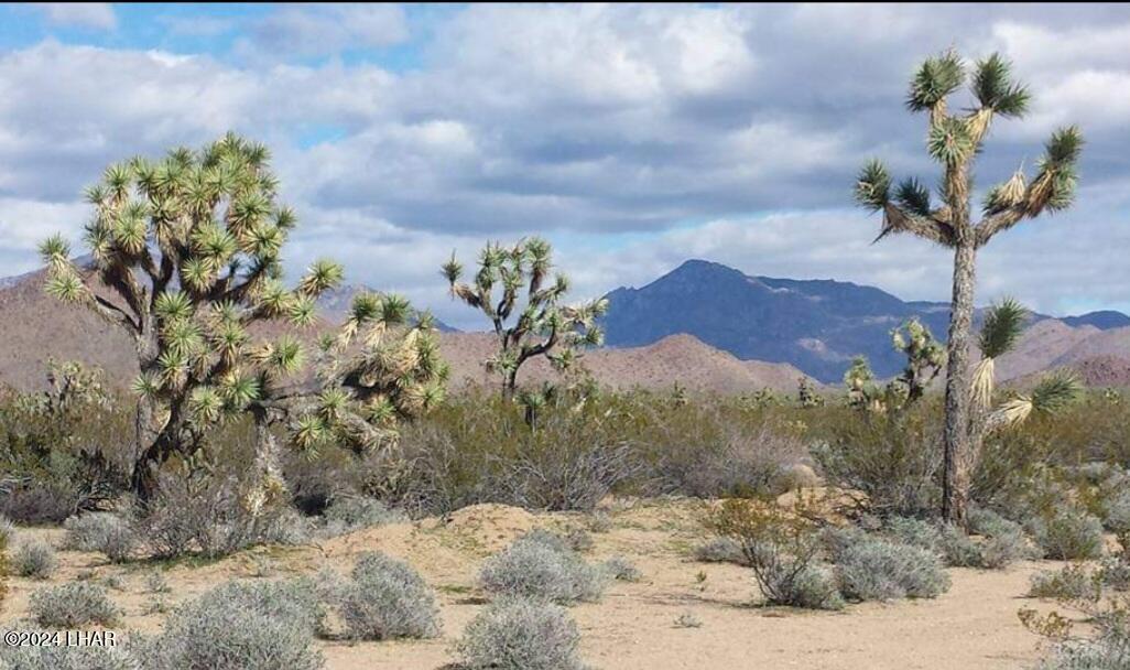 578-b South Wyatt Earp Road Yucca, AZ 86438 - Photo 12 of 18 1000002912