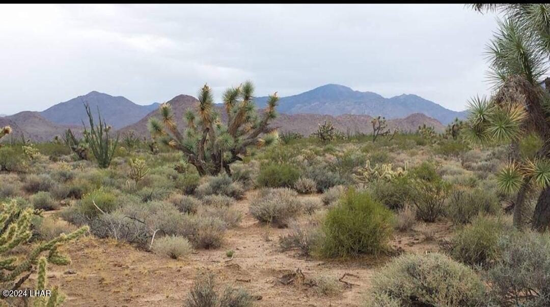 578-b South Wyatt Earp Road Yucca, AZ 86438 - Photo 13 of 18 1000002915