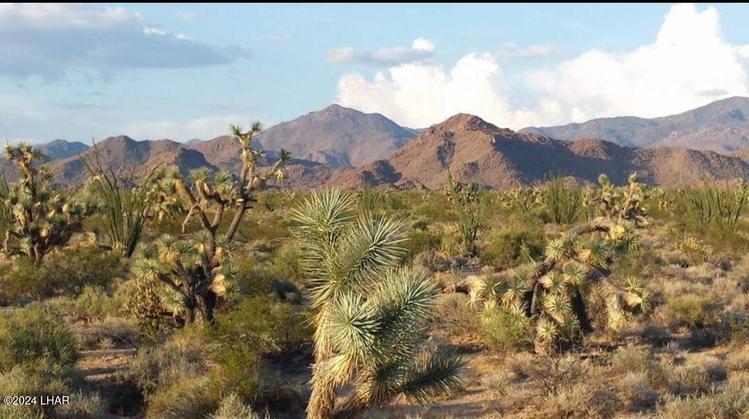 578-b South Wyatt Earp Road Yucca, AZ 86438 - Photo 10 of 18 1000002913