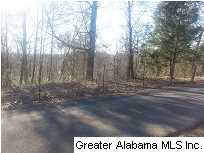 697 Hilltop Road, Unit 6 AC Warrior, AL 35180 - Photo 4 of 4