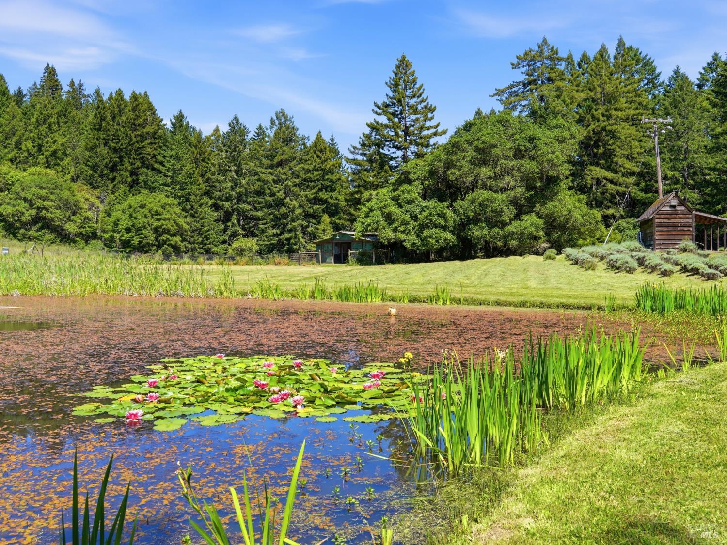 31397 Seaview Road Cazadero, CA 95421 - Photo 2 of 47 a view of a lake with a big yard