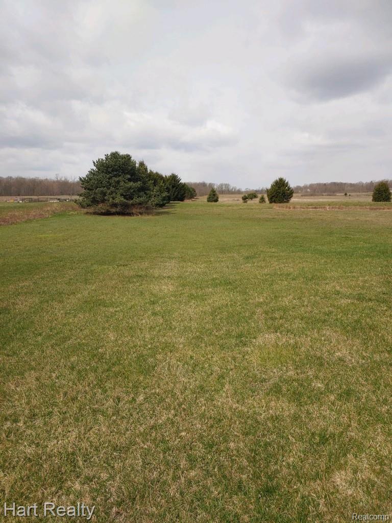 8417 Mason Road Yale, MI 48097 - Photo 3 of 27 6E61C48B-AA7D-4AC7-AA50-D000AC30F4BE.jpeg