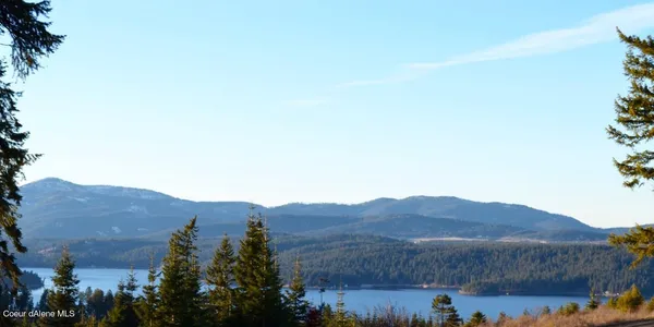 $350,000 | L4-b1 L4-b1 Wailea Road, Harrison, ID 83833