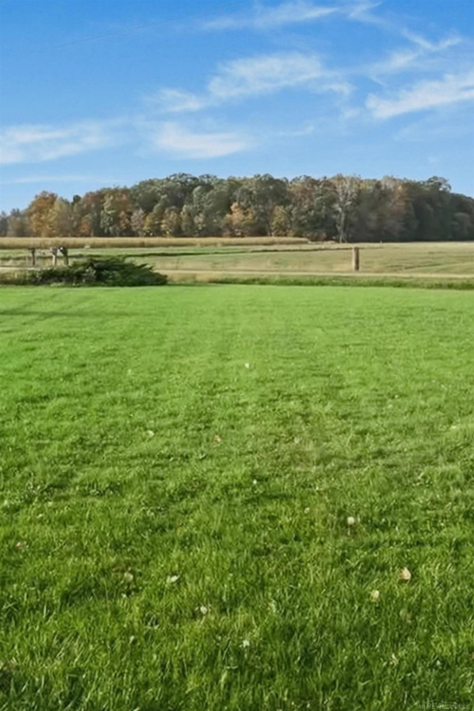 13775 Mesmer Road Allenton, MI 48002 - Photo 11 of 47 50223214-dd5f61e9-a512-452a-b970-270f44728d2f.JPG