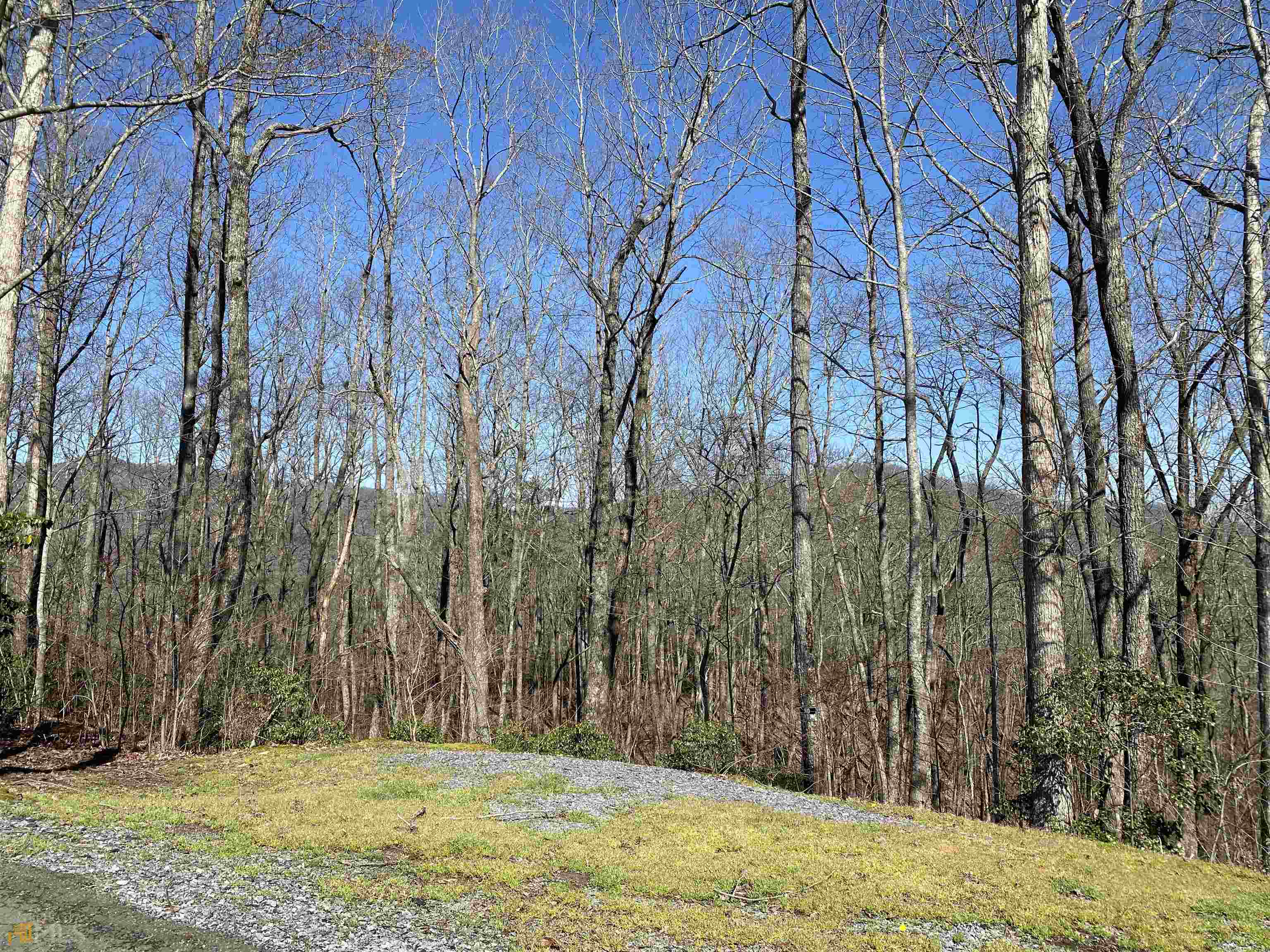 L573 Cherry Lake Blue Ridge, GA 30513 - Photo 1 of 1
