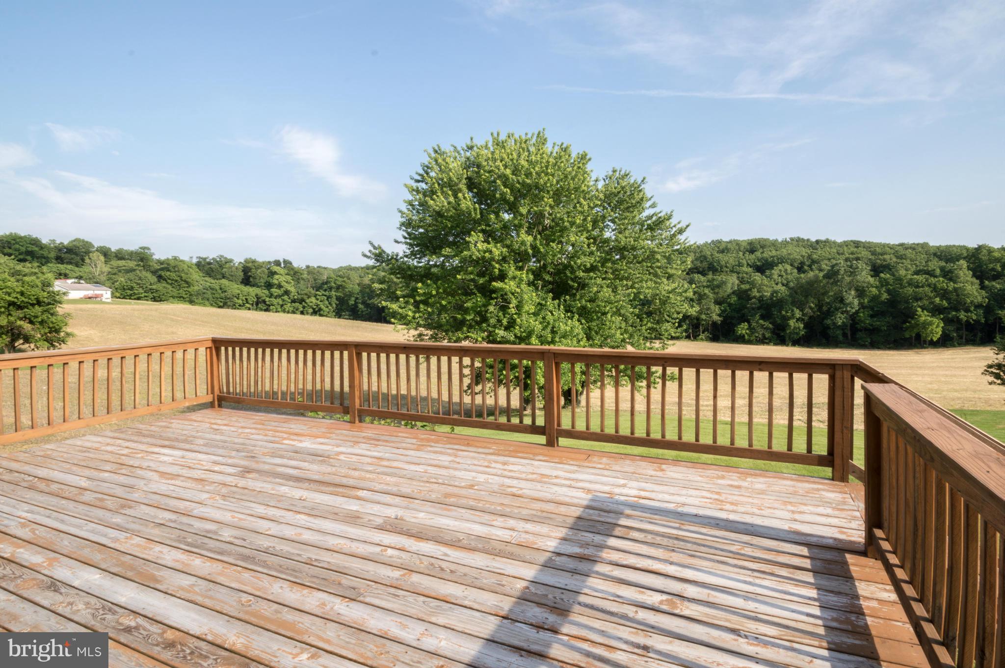 1854 Conowingo Road Rising Sun, MD 21911 - Photo 5 of 16 Exterior (Rear)