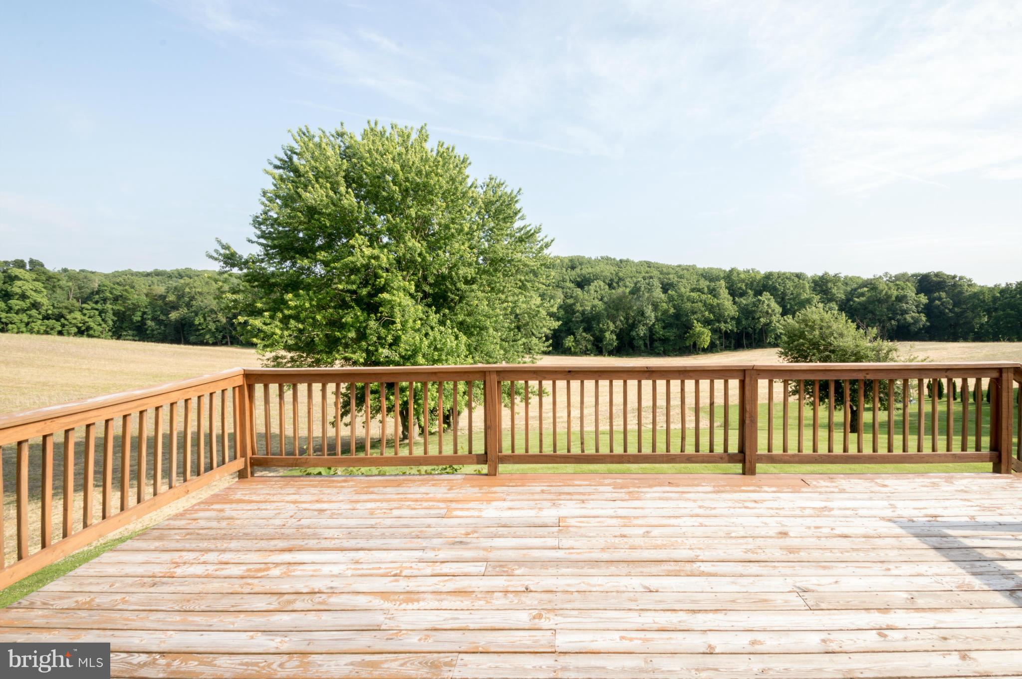 1854 Conowingo Road Rising Sun, MD 21911 - Photo 7 of 16 Exterior (Rear)