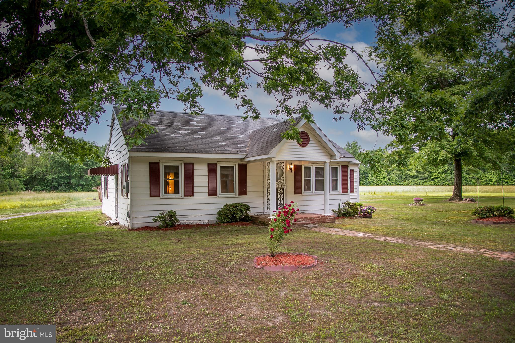 4804 Maiden Forest Road Rhodesdale, MD 21659 - Photo 4 of 41