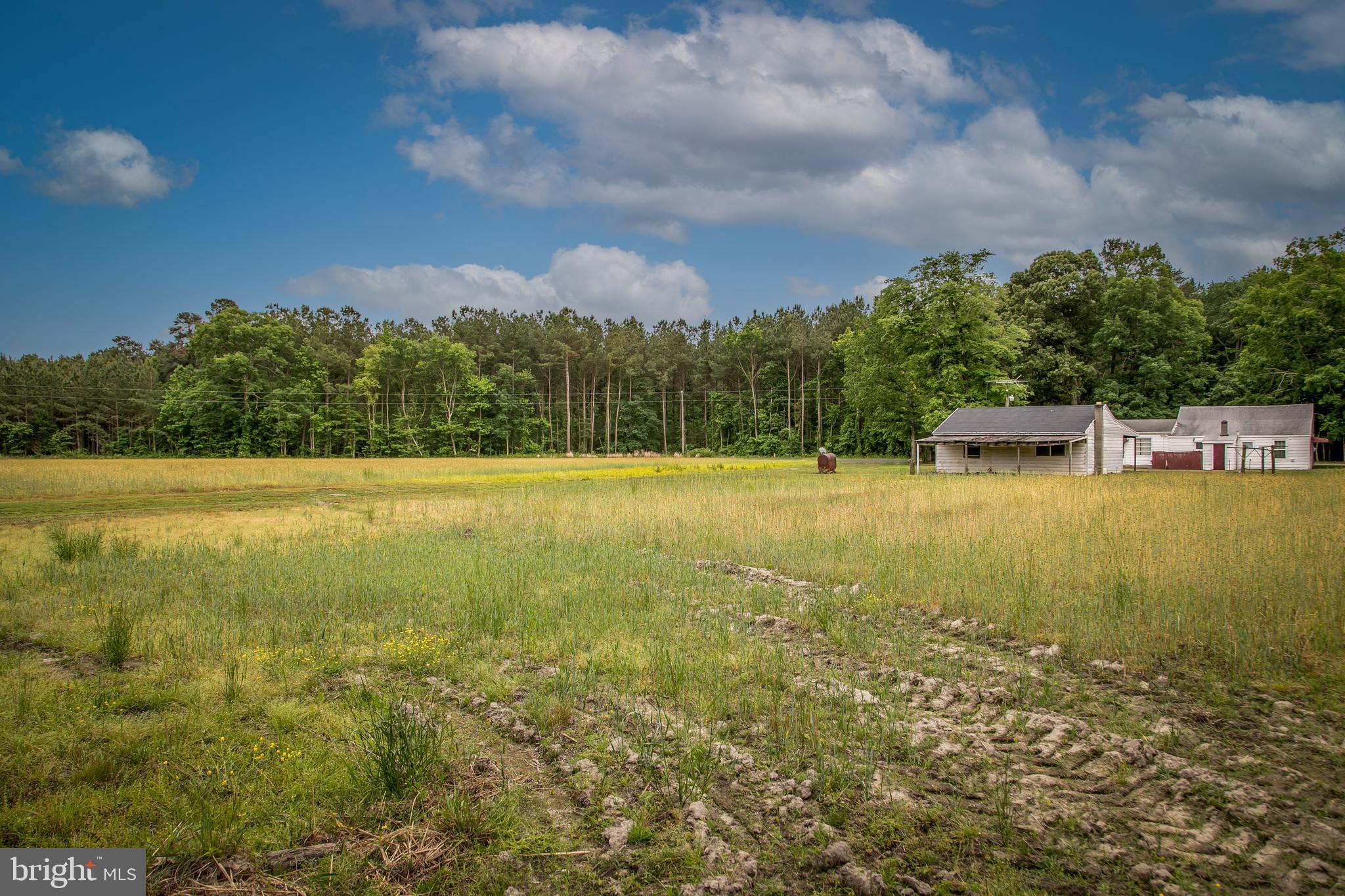 4804 Maiden Forest Road Rhodesdale, MD 21659 - Photo 38 of 41