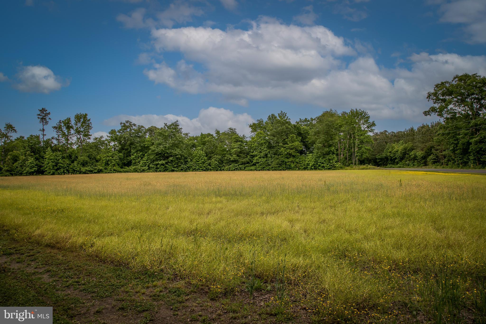 4804 Maiden Forest Road Rhodesdale, MD 21659 - Photo 39 of 41