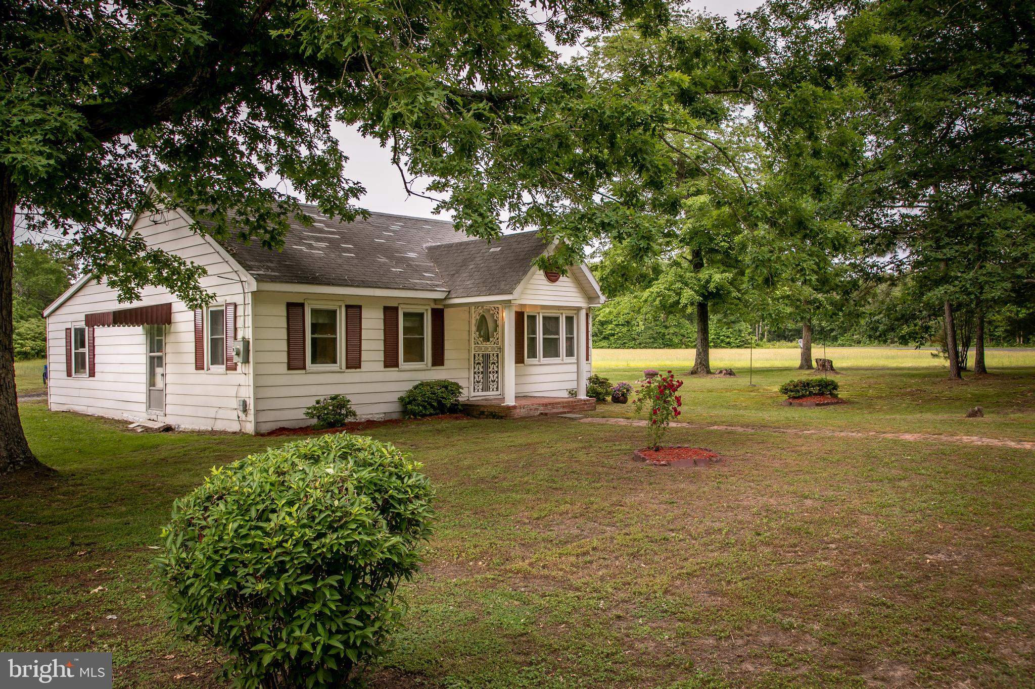 4804 Maiden Forest Road Rhodesdale, MD 21659 - Photo 6 of 41