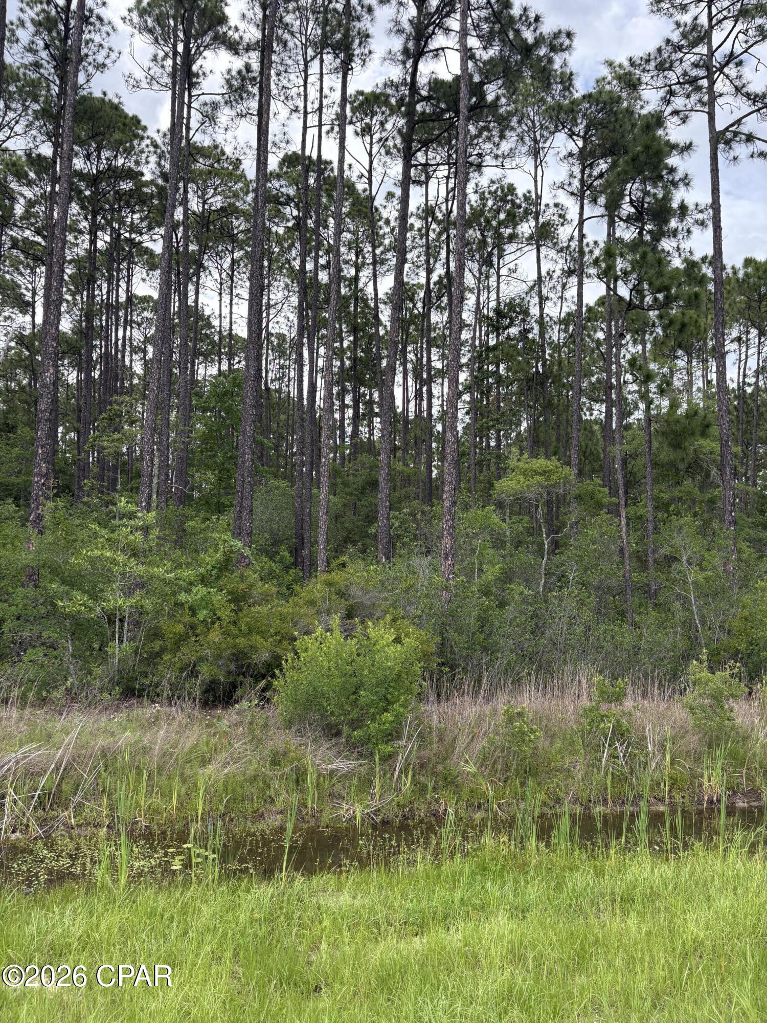 331 South Freeport Freeport, FL 32439 - Photo 6 of 9
