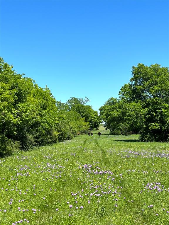 -35 Ac Rattler Hill Road McGregor, TX 76657 - Photo 7 of 37 Gallery Image 7